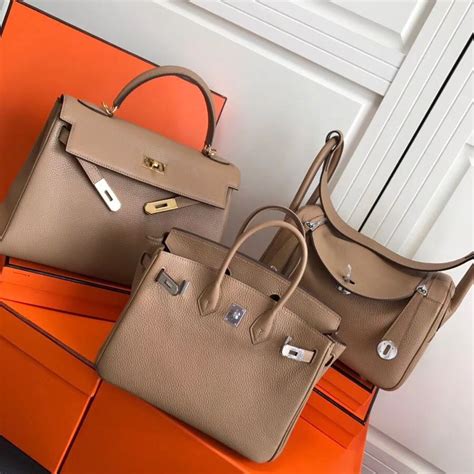 Ophidia Mini Bag 772314-1.jpg